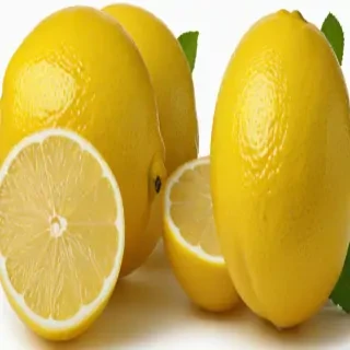 free lemon clipart
