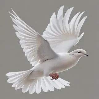 dove png