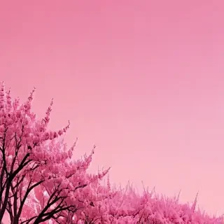 pink aesthetic wallpaper iphone