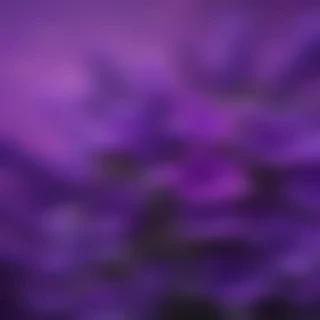 purple cute wallpaper