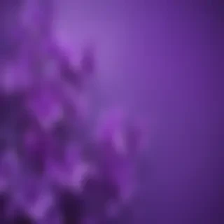 pretty purple backgrounds