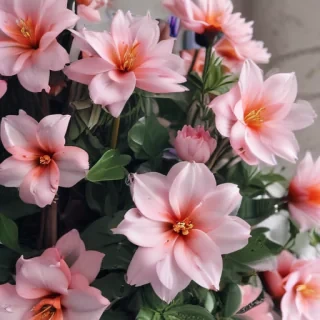 cute aesthetic wallpapers flowers