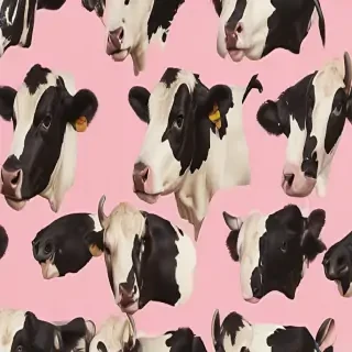 aesthetic cow print wallpaper
