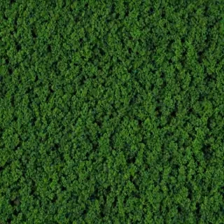 trees background
