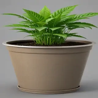 pot png