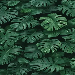 green backgrounds aesthetic