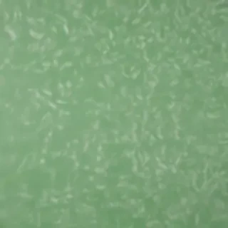 green white background