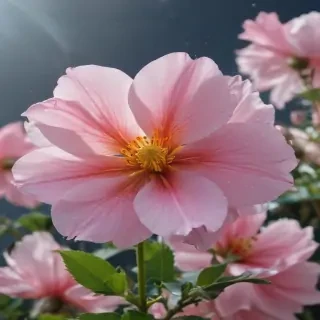 flower aesthetic