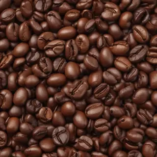 coffee bean png