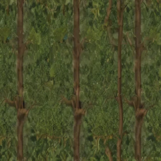 tree background