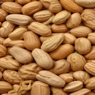 peanut png