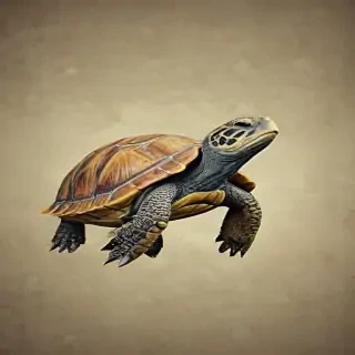 turtle wallpaper