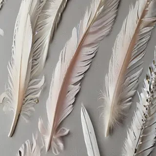 feather design