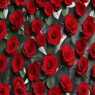 red roses aesthetic