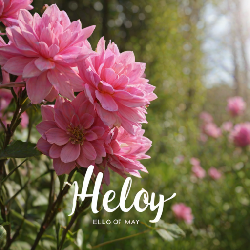 hello may images