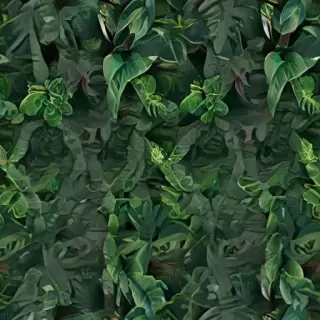 zoom background plants