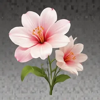 transparent background flower clipart