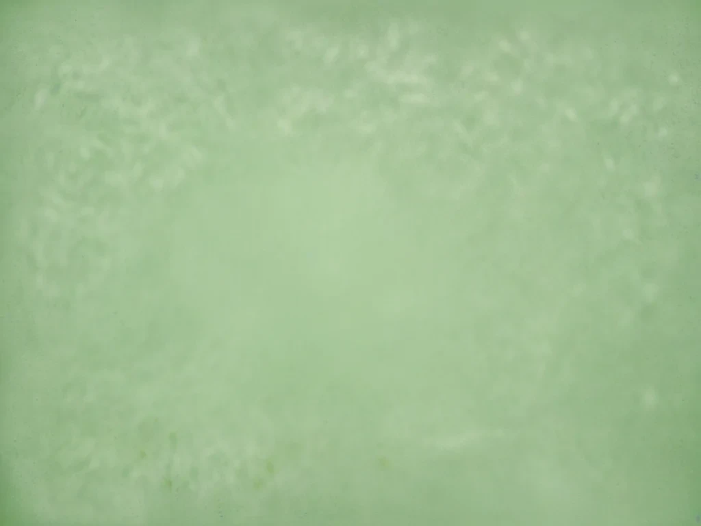 plain light green background