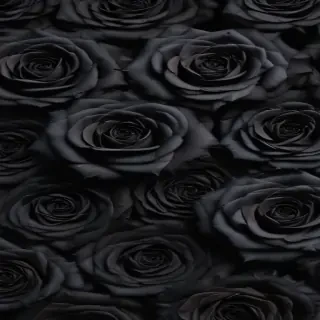 black roses background