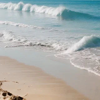 beach wallpaper for iphone