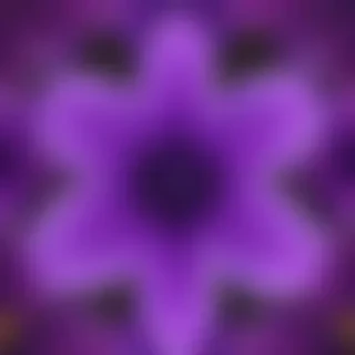 transparent purple flower