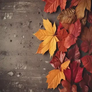 iphone wallpaper fall