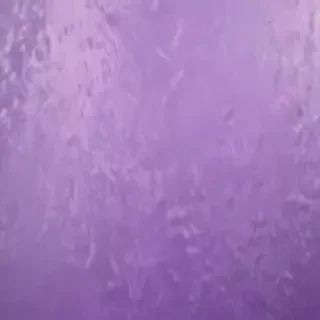 mauve background
