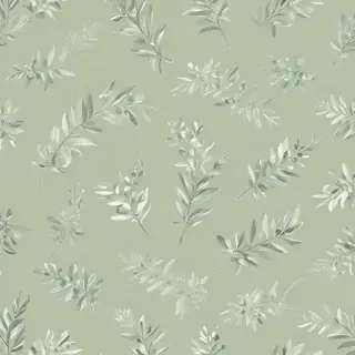 light sage green background