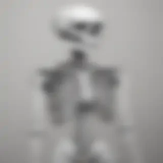 creative skeleton drawings