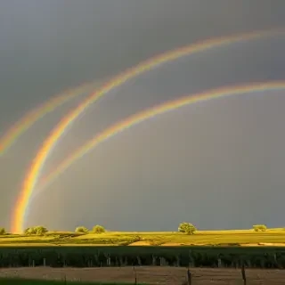 double rainbow