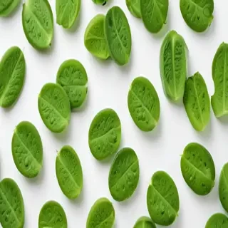 green on white background