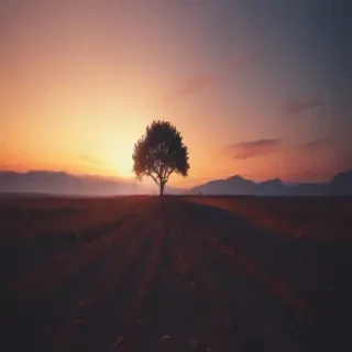 minimal iphone wallpaper