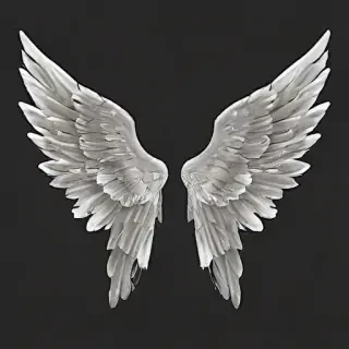 transparent angel wings png