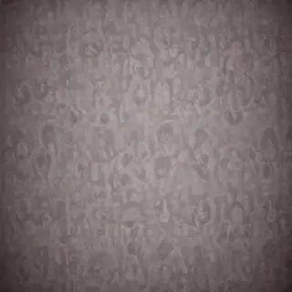 wallpaper hd