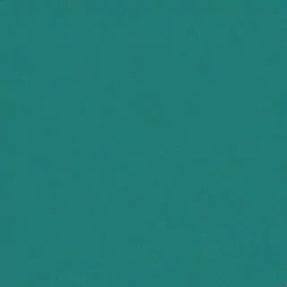 plain teal background