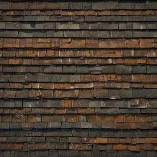 picture of shingles