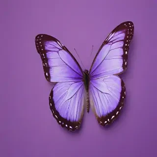 butterfly purple background