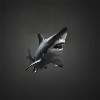 shark iphone wallpaper
