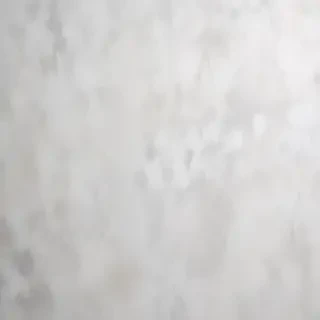 white gray background