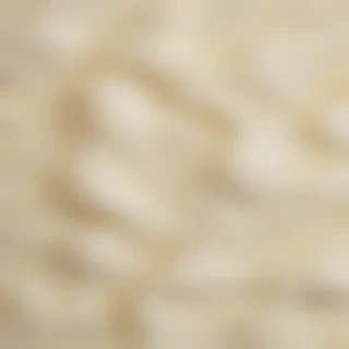 cream texture background