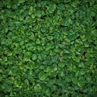 leaf background green