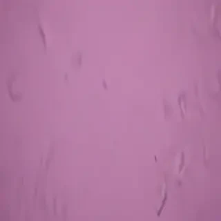 mauve background