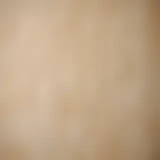 grain paper texture