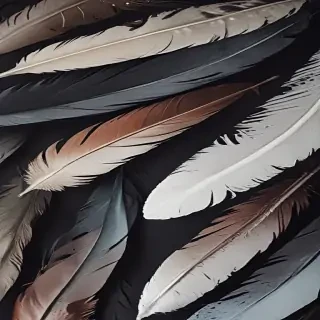 feather background