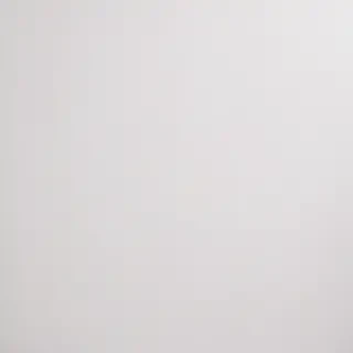 white background