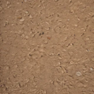 ground png