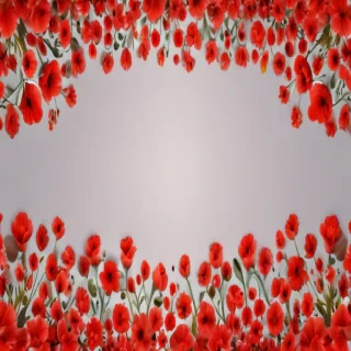 red flower bg