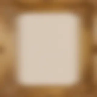 fancy gold frame