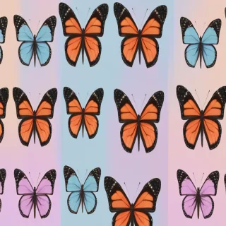 butterflies aesthetic