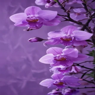 wallpaper purple cute